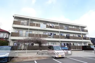 ビューラーサンライズの画像