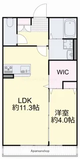 岡山県岡山市中区平井6丁目【アパート】の間取り