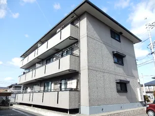 ハイカムールSTの画像