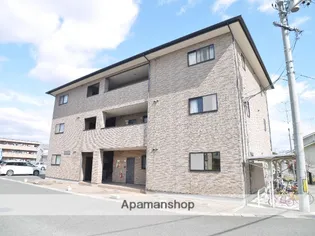 サンフラワーBの画像