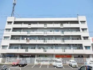 岡山県岡山市北区白石西新町【マンション】の外観
