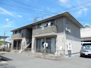 ベリー オーライ Cの画像