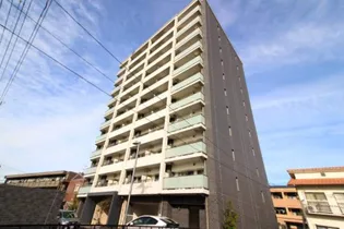 ハアラン高柳の画像