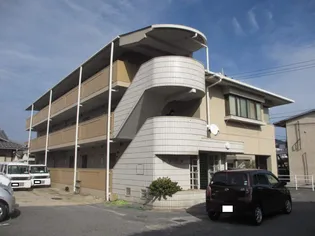 セリバ今の画像