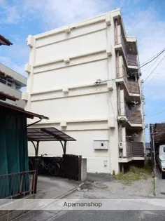 シャンティ浜野の画像