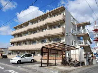 ミラドール今IIの画像