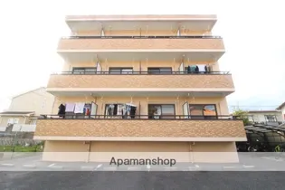 コスモスの画像