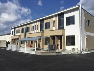 アザレアの画像