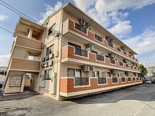 マメゾン三野【1階】の外観