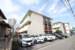 ミモザ 南の画像