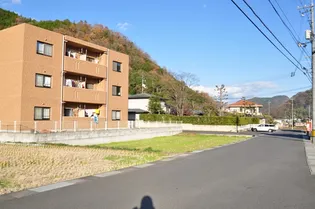 ピュアステージⅢの画像