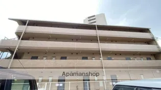 マイヨールの画像