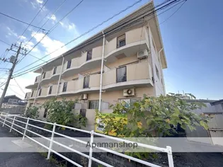 セリバ今の画像