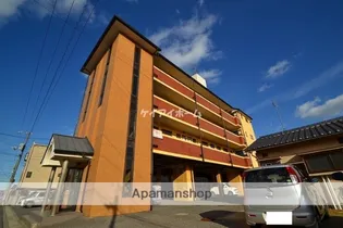 ドミール89の画像