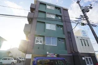 リーガⅡの画像