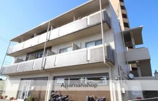 セリオコートの画像