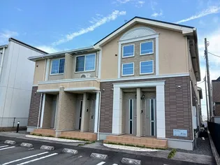 プラシードM Nの画像