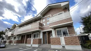 プリムローズBの画像