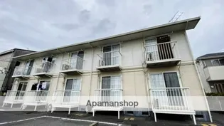 シャインの画像