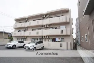 SWEET FENNELの画像