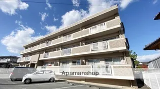 ラ フィオーレの画像