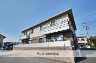 シャインの画像