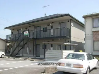 セフィラササキの画像