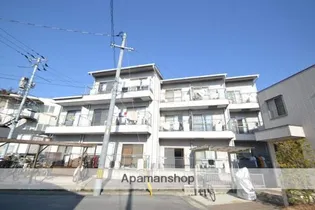 コスモクイーン津倉の画像