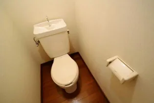 ラッキーハウス 南棟【2階】のその他画像