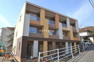 ショコラ オリーブの画像