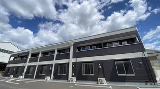 ルピナスの画像