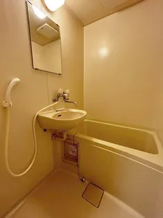 FOREVER RESIDENCE IMAⅢ【206号室】の風呂