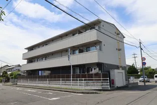 ヒマワリの画像