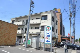 シャリテホサキの画像