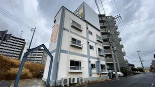 グレープバイン原尾島【3階】の外観