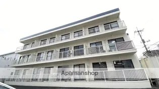 サニーコスモの画像