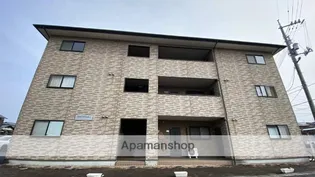 カンフォタブルの画像