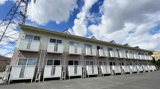 ニューシティサルビアの画像