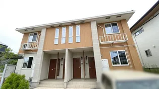 パフィオの画像