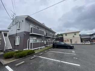 エバグリーンAの画像