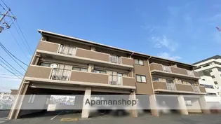 サンライズ豊成の画像