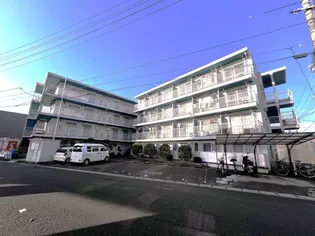 ラ・ピーヌ竹田Ⅱ【3階】の外観