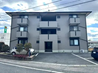 ハイカムールSTの画像