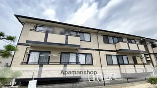 ルピナス21の画像