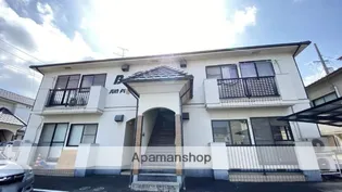 サンフラワーBの画像