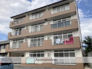 ピジョン兼基の画像