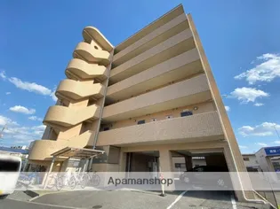 ラホヤハナクマの画像