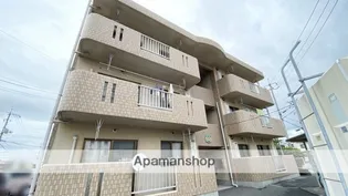 ベアーフルートIIの画像