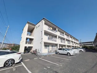 ニューマリッチ笹沖【3階】の外観