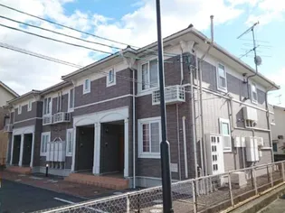 プリムローズ Sの画像